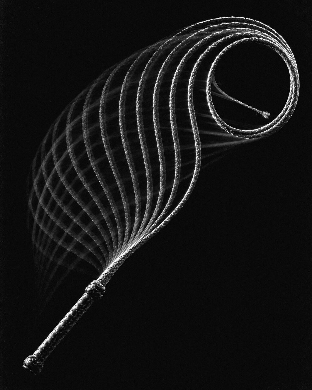 Multiple-exposure image of a whip swinging through the air, its path drawn as a fan of pale curves ending in a tight loop.