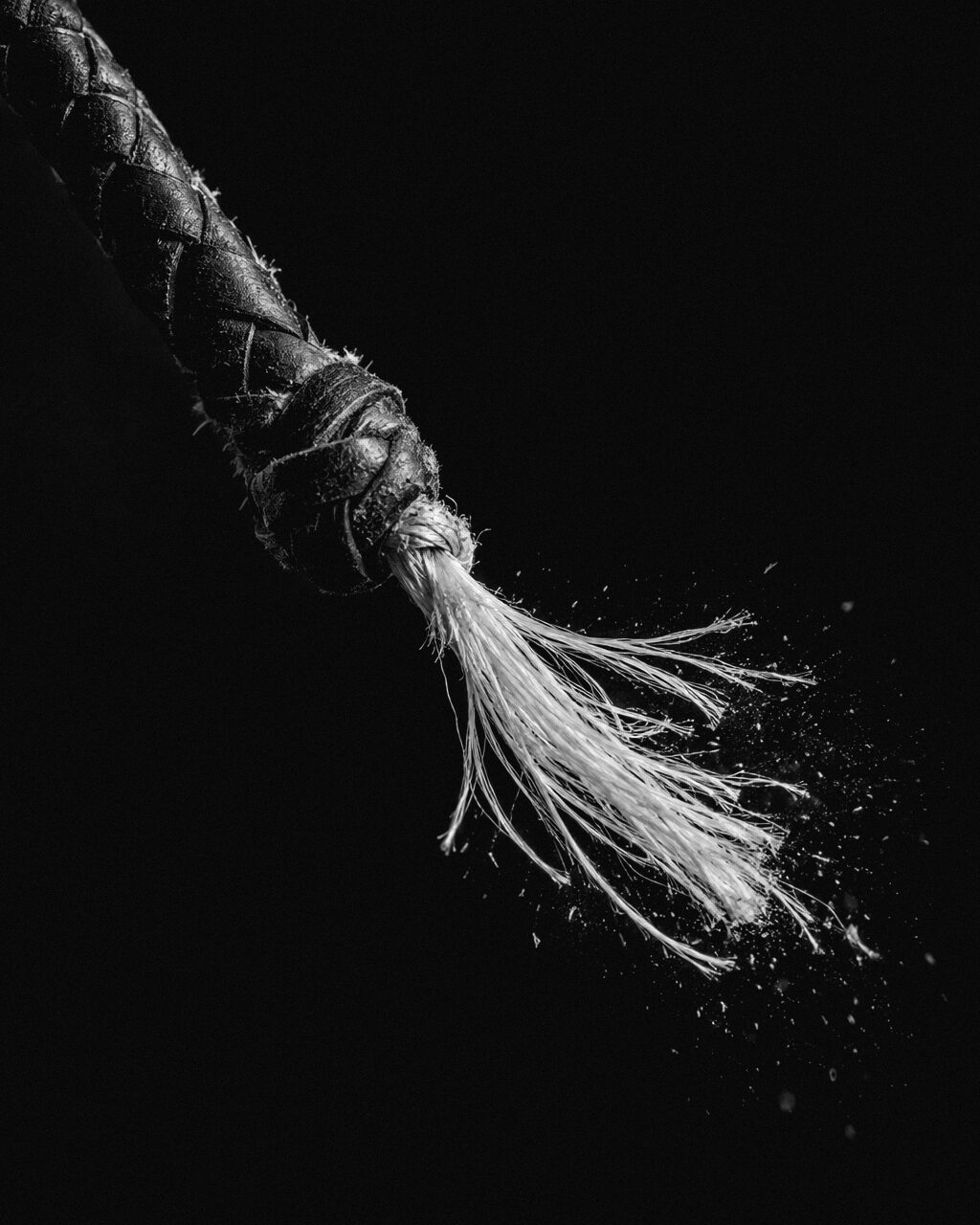 Close-up of a plaited leather whip ending in a frayed white cracker, its fibres flung outward in a fine mist.