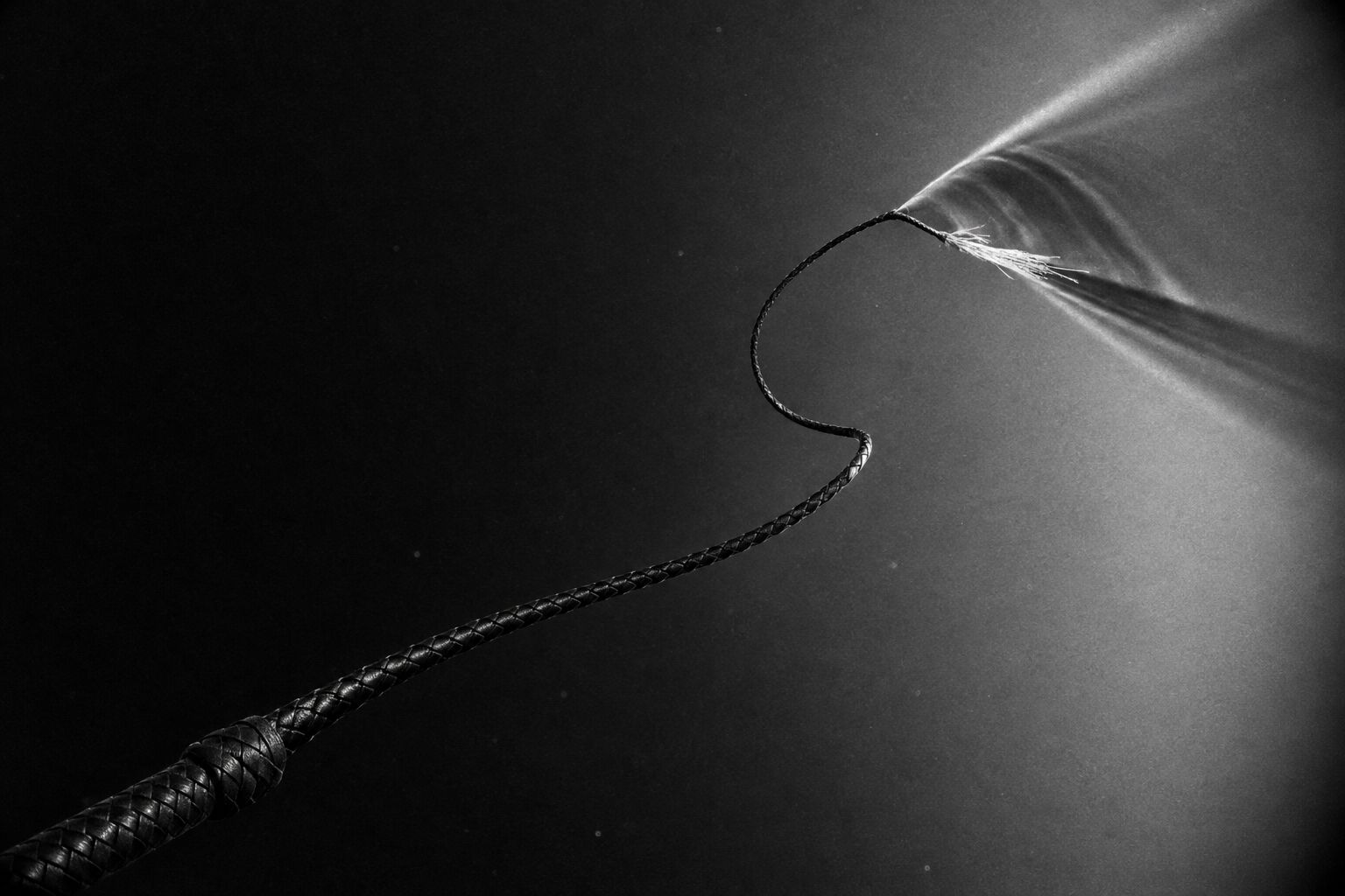 A braided black whip cracking in the dark, a cone of shock waves fanning out from its tip.